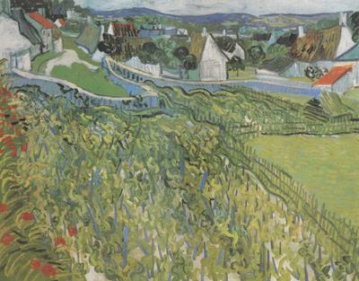 Vincent Van Gogh Vineyard with a View of Auvers (nn04) Spain oil painting art